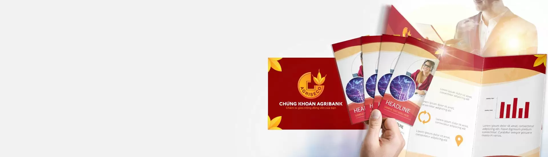 banner-profile